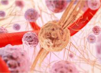 Histolog Maaşı: Doku Bilimi ve Mikroskopi Uzmanlığı Histolog Maaşı: Doku Bilimi ve Mikroskopi Uzmanlığı