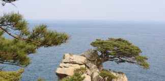 İnternet Güvenlik Uzmanı Maaşı: Siber Güvenlik ve Veri Koruma Stratejileri İnternet Güvenlik Uzmanı Maaşı: Siber Güvenlik ve Veri Koruma Stratejileri