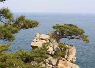 İnternet Güvenlik Uzmanı Maaşı: Siber Güvenlik ve Veri Koruma Stratejileri İnternet Güvenlik Uzmanı Maaşı: Siber Güvenlik ve Veri Koruma Stratejileri