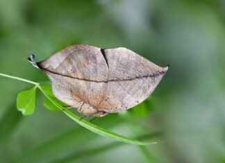Jeomorfolog Maaşı: Doğa Yapıları ve Toprak İnceleme Jeomorfolog Maaşı: Doğa Yapıları ve Toprak İnceleme