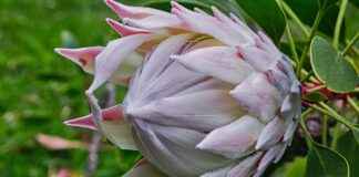 Jinekolog Maaşları: Kadın Sağlığı ve Tıp Alanında Kazançlar Jinekolog Maaşları: Kadın Sağlığı ve Tıp Alanında Kazançlar