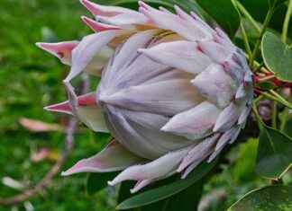 Jinekolog Maaşları: Kadın Sağlığı ve Tıp Alanında Kazançlar Jinekolog Maaşları: Kadın Sağlığı ve Tıp Alanında Kazançlar