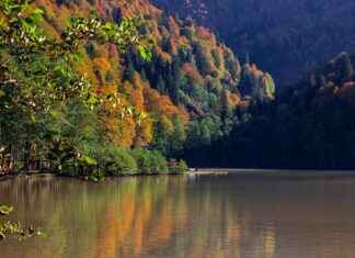 Kara Tavsiyesi Uzmanı Maaşı: Arazi Kullanımı ve Kalkınma Planlaması Kara Tavsiyesi Uzmanı Maaşı: Arazi Kullanımı ve Kalkınma Planlaması