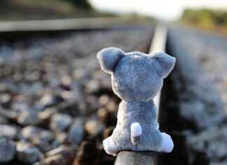 Kimya Öğretmeni Maaşı: Eğitim ve Akademik Araştırmalar Kimya Öğretmeni Maaşı: Eğitim ve Akademik Araştırmalar