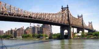 Koch Maaşı: Deniz Taşıma ve Balina Gözlemi Fırsatları Koch Maaşı: Deniz Taşıma ve Balina Gözlemi Fırsatları