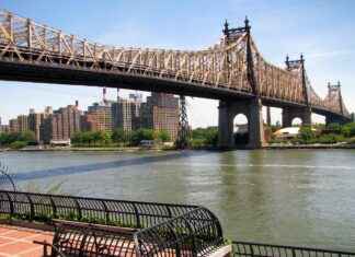 Koch Maaşı: Deniz Taşıma ve Balina Gözlemi Fırsatları Koch Maaşı: Deniz Taşıma ve Balina Gözlemi Fırsatları