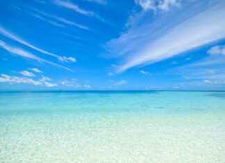 Kredi Kartı Alışveriş Faizi Hesaplama ile Borcunuzu Kontrol Altına Alın Kredi Kartı Alışveriş Faizi Hesaplama ile Borcunuzu Kontrol Altına Alın