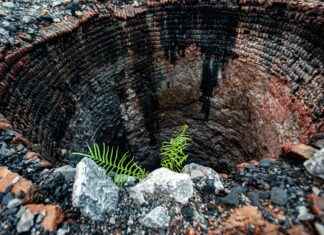 Kriminolog Maaşları: Suç Analizi ve Adli Bilimler Kazançları Kriminolog Maaşları: Suç Analizi ve Adli Bilimler Kazançları