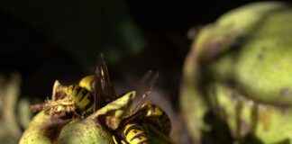 Kripto Grafiker Maaşı: Blockchain Teknolojisinde Kodlama ve Güvenlik Kripto Grafiker Maaşı: Blockchain Teknolojisinde Kodlama ve Güvenlik