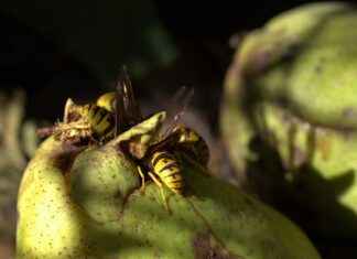 Kripto Grafiker Maaşı: Blockchain Teknolojisinde Kodlama ve Güvenlik Kripto Grafiker Maaşı: Blockchain Teknolojisinde Kodlama ve Güvenlik