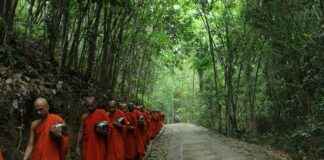 Kripto Para Analisti Maaşı: Dijital Varlıklar ve Yatırım Danışmanlığı Kripto Para Analisti Maaşı: Dijital Varlıklar ve Yatırım Danışmanlığı