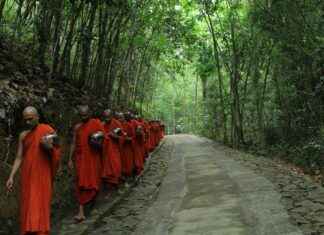 Kripto Para Analisti Maaşı: Dijital Varlıklar ve Yatırım Danışmanlığı Kripto Para Analisti Maaşı: Dijital Varlıklar ve Yatırım Danışmanlığı