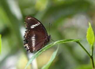 Küratör Maaşları ve Sergi Tasarımı Küratör Maaşları ve Sergi Tasarımı