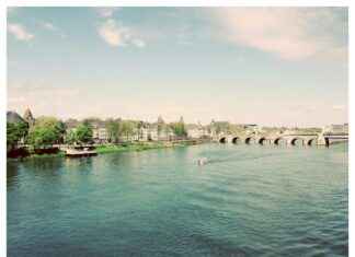 Kütüphaneci Maaşı: Bilgi Yönetimi ve Arşivleme Gelirleri Kütüphaneci Maaşı: Bilgi Yönetimi ve Arşivleme Gelirleri