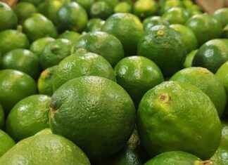 Liman İşçisi Maaşı: Yükleme ve Boşaltma Hizmetleri Kazançları Liman İşçisi Maaşı: Yükleme ve Boşaltma Hizmetleri Kazançları