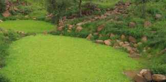 Mali Müşavir Maaşları: İşletme Danışmanlık ve Vergi Yönetimi Ücretleri Mali Müşavir Maaşları: İşletme Danışmanlık ve Vergi Yönetimi Ücretleri