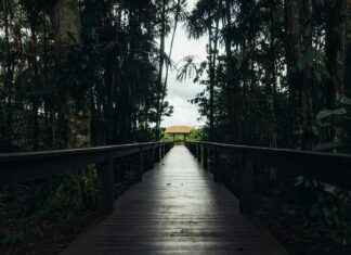 Mevduat Faizi Hesaplama ile Para Kazanmanın Yolu Mevduat Faizi Hesaplama ile Para Kazanmanın Yolu