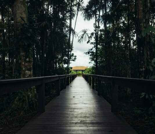 Mevduat Faizi Hesaplama ile Para Kazanmanın Yolu Mevduat Faizi Hesaplama ile Para Kazanmanın Yolu