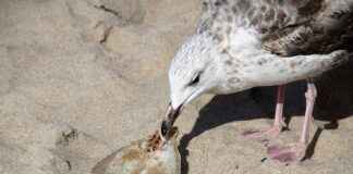Mimar Maaşları: Tasarım ve Planlama Alanında Gelirler Mimar Maaşları: Tasarım ve Planlama Alanında Gelirler