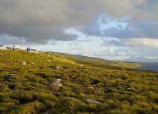 Minibüs Şoförü Maaşı: Toplu Taşıma ve Ulaşım Hizmetleri Kazançları Minibüs Şoförü Maaşı: Toplu Taşıma ve Ulaşım Hizmetleri Kazançları