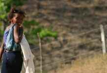 Müze ve Kültür İdaresi Maaşı: Kültürel Miras Yönetimi ve Sergi Tasarımı Müze ve Kültür İdaresi Maaşı: Kültürel Miras Yönetimi ve Sergi Tasarımı