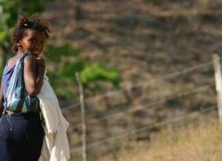 Müze ve Kültür İdaresi Maaşı: Kültürel Miras Yönetimi ve Sergi Tasarımı Müze ve Kültür İdaresi Maaşı: Kültürel Miras Yönetimi ve Sergi Tasarımı