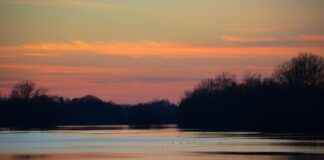 Öğretmen Maaşları: Eğitimde Kılavuzluk ve Destek Öğretmen Maaşları: Eğitimde Kılavuzluk ve Destek