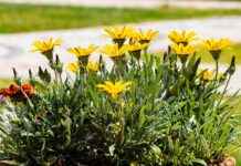 Oşinograf Maaşları: Deniz Bilimi ve Okyanus Araştırmaları Gelirleri Oşinograf Maaşları: Deniz Bilimi ve Okyanus Araştırmaları Gelirleri