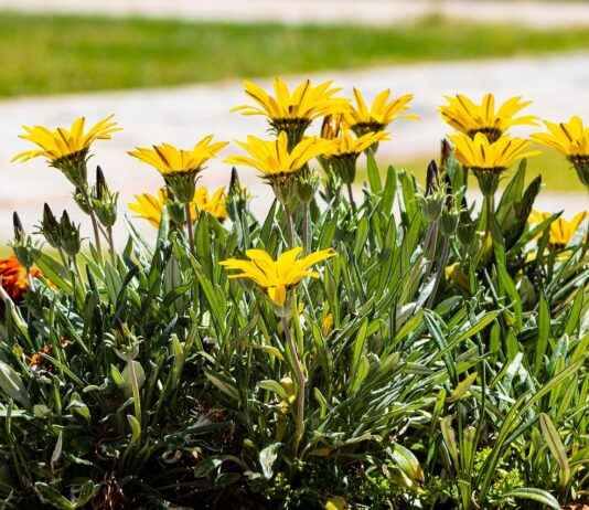 Oşinograf Maaşları: Deniz Bilimi ve Okyanus Araştırmaları Gelirleri Oşinograf Maaşları: Deniz Bilimi ve Okyanus Araştırmaları Gelirleri