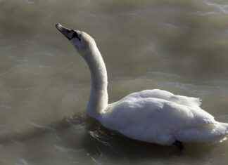 Oto Camcısı Maaşı: Araç Camı Montaj ve Onarım Servisleri Oto Camcısı Maaşı: Araç Camı Montaj ve Onarım Servisleri