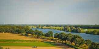 Pazarlama Uzmanı Maaşları: Marka ve Pazar Stratejileri Pazarlama Uzmanı Maaşları: Marka ve Pazar Stratejileri