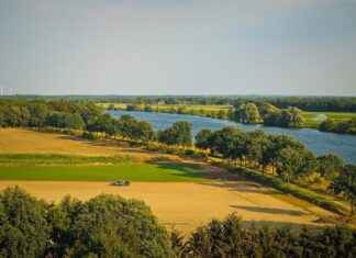 Pazarlama Uzmanı Maaşları: Marka ve Pazar Stratejileri Pazarlama Uzmanı Maaşları: Marka ve Pazar Stratejileri