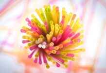 Plastik Enjeksiyon Operatörü Maaşları: Üretim Süreçleri ve Kalite Plastik Enjeksiyon Operatörü Maaşları: Üretim Süreçleri ve Kalite