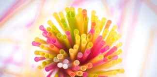 Plastik Enjeksiyon Operatörü Maaşları: Üretim Süreçleri ve Kalite Plastik Enjeksiyon Operatörü Maaşları: Üretim Süreçleri ve Kalite