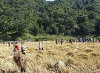 Proje Yöneticisi Maaşı: Proje Planlama ve Yürütme Teknikleri Proje Yöneticisi Maaşı: Proje Planlama ve Yürütme Teknikleri