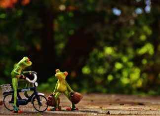 Radyasyon Terapisti Maaşı: Onkoloji Tedavi Yöntemleri ve Hasta Bakımı Radyasyon Terapisti Maaşı: Onkoloji Tedavi Yöntemleri ve Hasta Bakımı