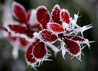 Radyoloji Teknisyeni Maaşı: Tıbbi Görüntüleme ve Radyografi Hizmetleri Radyoloji Teknisyeni Maaşı: Tıbbi Görüntüleme ve Radyografi Hizmetleri