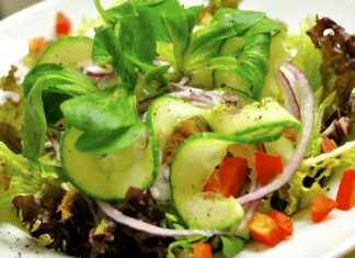 Restoran Yöneticisi Maaşı: Yiyecek İçecek Sektöründe Yönetim Gelirleri Restoran Yöneticisi Maaşı: Yiyecek İçecek Sektöründe Yönetim Gelirleri