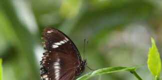 Sanat Yönetmeni Maaşları: Yaratıcı Projelerde Liderlik Sanat Yönetmeni Maaşları: Yaratıcı Projelerde Liderlik