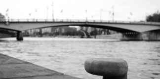 Sanatçı Maaşları: İfade Özgürlüğü ve Gelir Modelleri Sanatçı Maaşları: İfade Özgürlüğü ve Gelir Modelleri