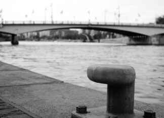 Sanatçı Maaşları: İfade Özgürlüğü ve Gelir Modelleri Sanatçı Maaşları: İfade Özgürlüğü ve Gelir Modelleri