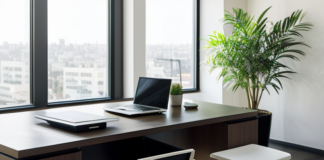 Şekerbank Mevduat Faiz Oranları ve Yatırım Seçenekleri Şekerbank Mevduat Faiz Oranları ve Yatırım Seçenekleri