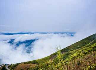 Taş Ustası Maaşı: Yapı ve Dekorasyon Taşçılığı Taş Ustası Maaşı: Yapı ve Dekorasyon Taşçılığı