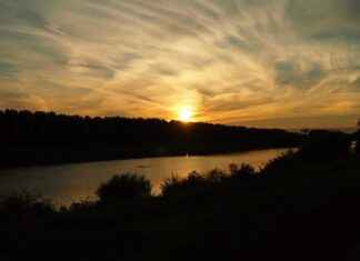 Temizlik Hizmetleri Yöneticisi Maaşı: Hijyen Yönetimi ve Operasyon Koordinasyonu Temizlik Hizmetleri Yöneticisi Maaşı: Hijyen Yönetimi ve Operasyon Koordinasyonu