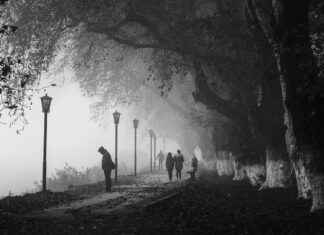 Temizlik Personeli Maaşları ve Hizmet Sektöründe Çalışma Koşulları Temizlik Personeli Maaşları ve Hizmet Sektöründe Çalışma Koşulları