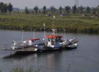 Toplum Bilimci Maaşı: Sosyal Araştırmalar ve Toplumsal Değişim Kazançları Toplum Bilimci Maaşı: Sosyal Araştırmalar ve Toplumsal Değişim Kazançları
