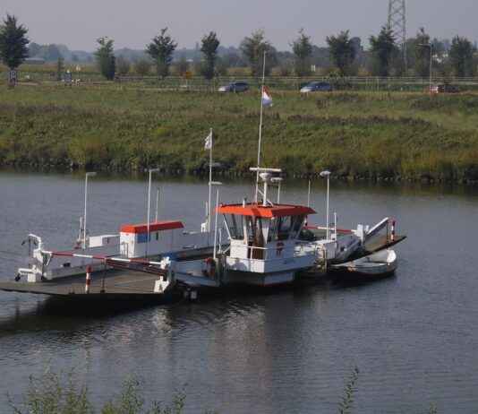 Toplum Bilimci Maaşı: Sosyal Araştırmalar ve Toplumsal Değişim Kazançları Toplum Bilimci Maaşı: Sosyal Araştırmalar ve Toplumsal Değişim Kazançları