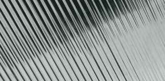 Üretim Yöneticisi Maaşları: Plastik Sanayinde Operasyonlar Üretim Yöneticisi Maaşları: Plastik Sanayinde Operasyonlar