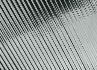 Üretim Yöneticisi Maaşları: Plastik Sanayinde Operasyonlar Üretim Yöneticisi Maaşları: Plastik Sanayinde Operasyonlar