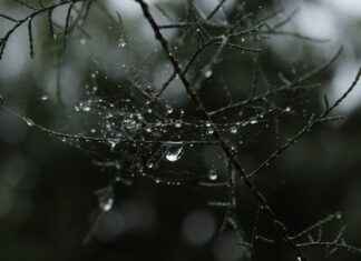 Uzaktan Eğitim Uzmanı Maaşları ve Teknolojik Eğitim Çözümleri Uzaktan Eğitim Uzmanı Maaşları ve Teknolojik Eğitim Çözümleri